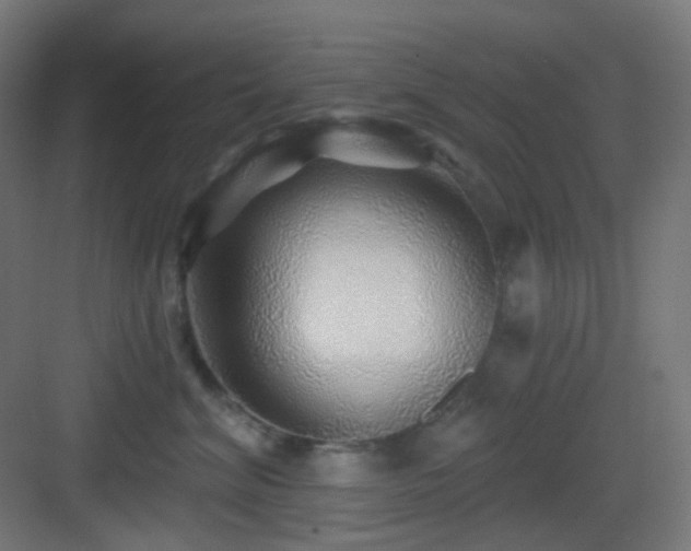 X0000083550620200702091100