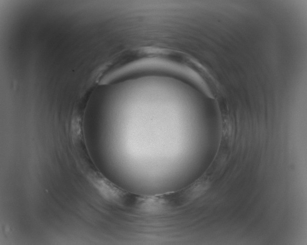 X0000083550621200702091100