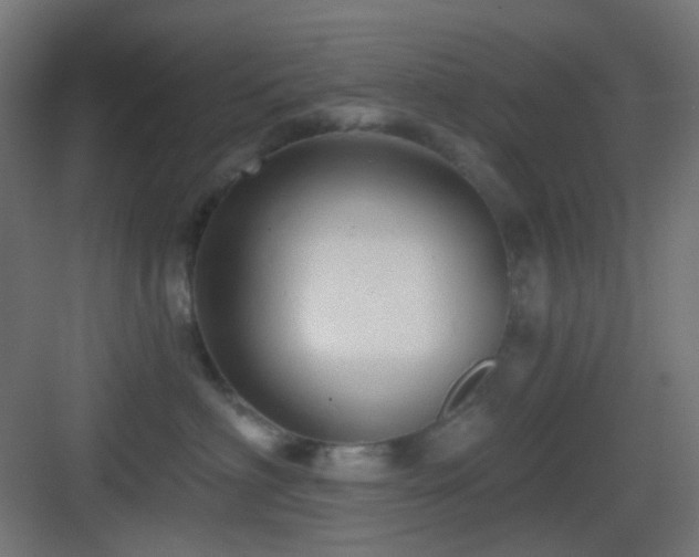 X0000083550622200702091100