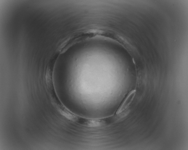 X0000083550623200702091100