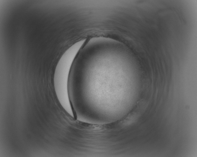 X0000083550624200702091100