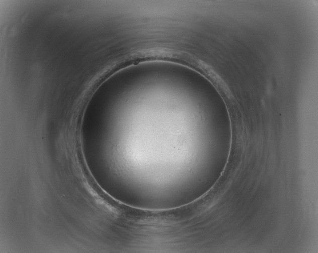 X0000083550625200702091059