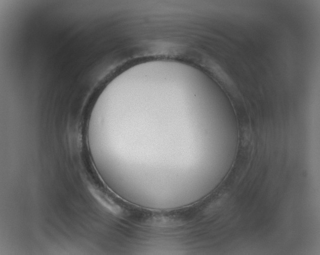 X0000083550632200702091059