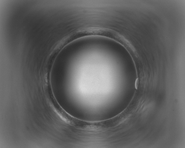 X0000083550633200702091059