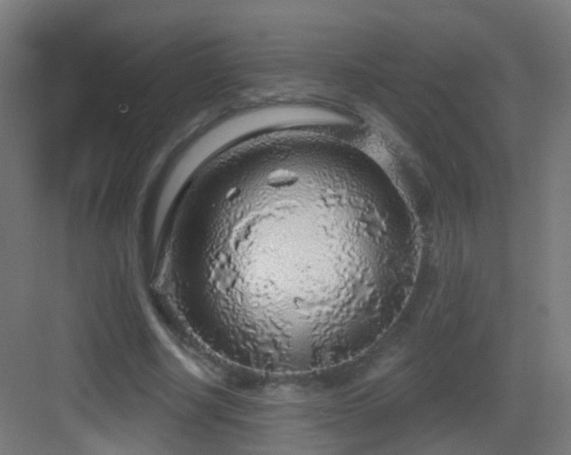 X0000083550634200702091059