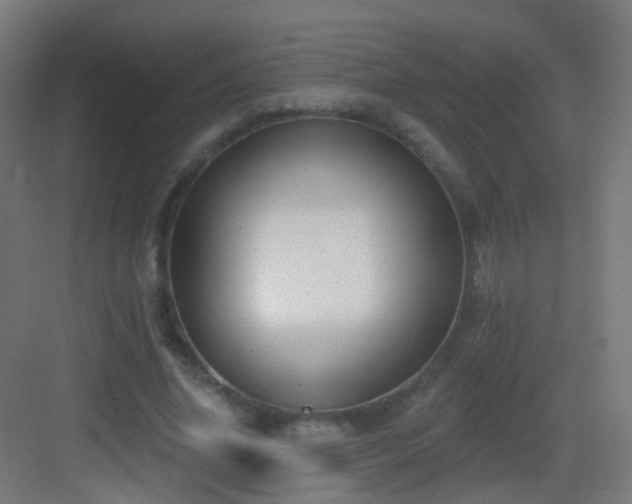 X0000083550636200702091059