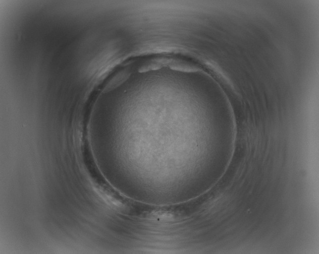 X0000083550640200702091059