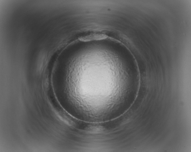 X0000083550642200702091059