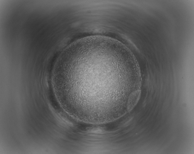 X0000083550643200702091059
