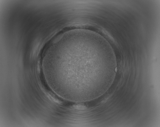 X0000083550644200702091059