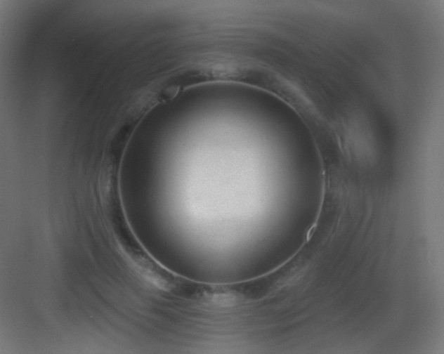 X0000083550645200702091059