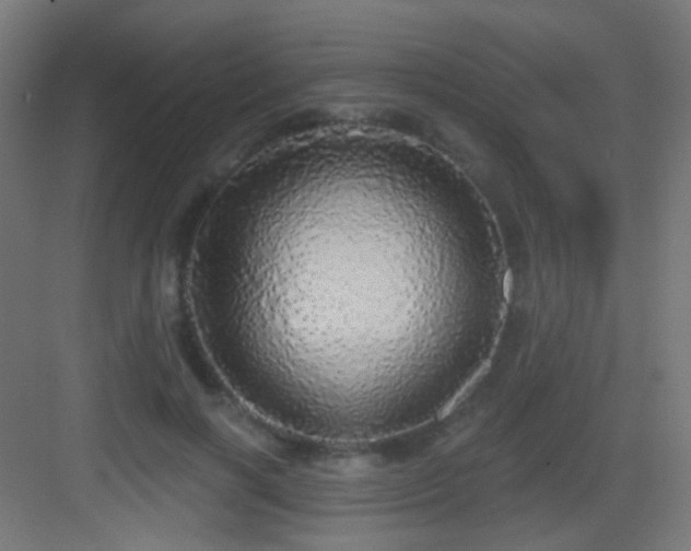 X0000083550646200702091059