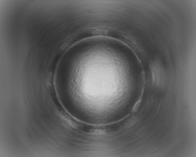 X0000083550649200702091059
