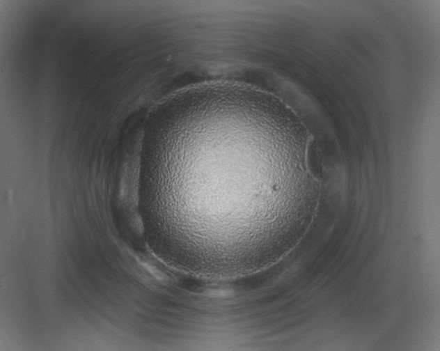 X0000083550653200702091100
