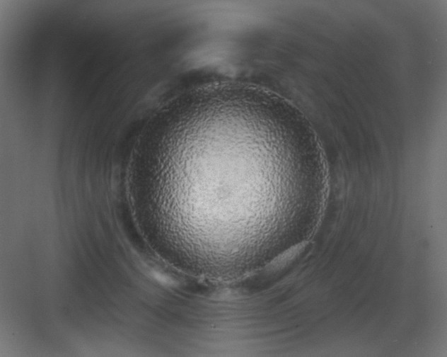 X0000083550656200702091100