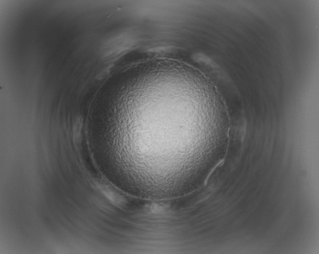 X0000083550660200702091100