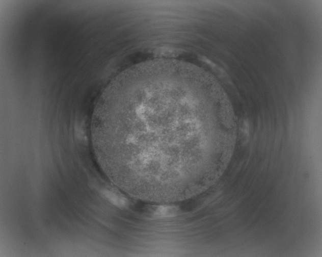 X0000083550663200702091100
