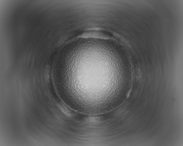 X0000083550664200702091100