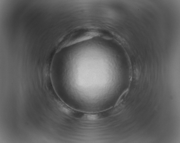 X0000083550665200702091100
