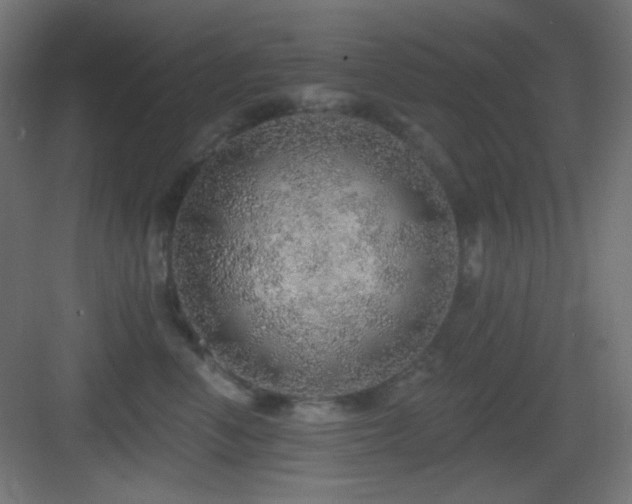 X0000083550666200702091100