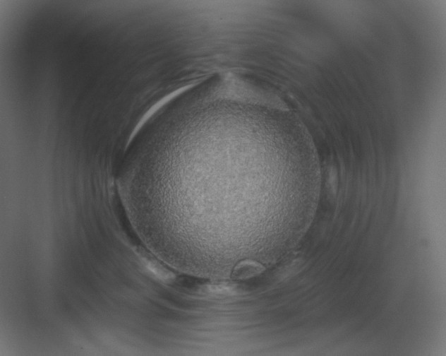 X0000083550668200702091100
