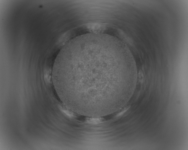X0000083550671200702091100