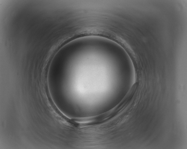 X0000083550673200702091059