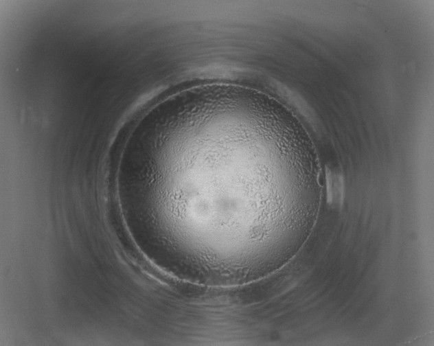 X0000083550675200702091059
