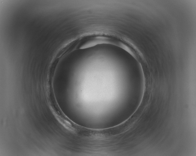 X0000083550677200702091059
