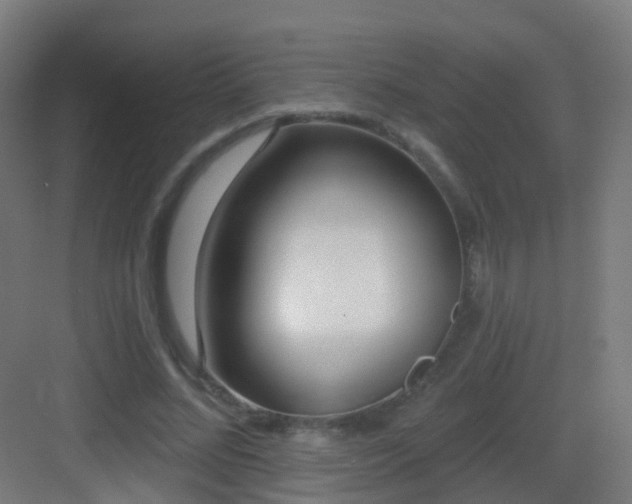 X0000083550684200702091059