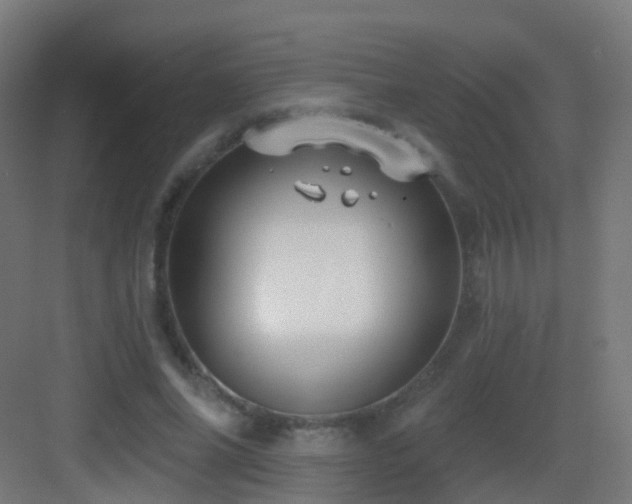 X0000083550686200702091059