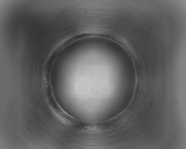 X0000083550688200702091059