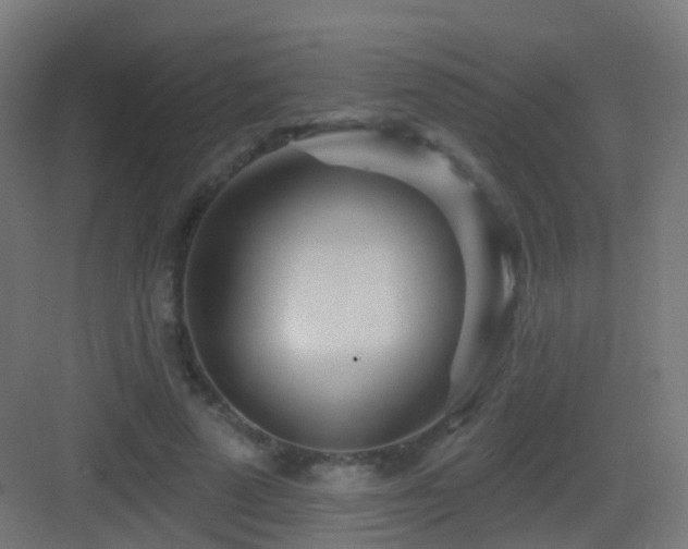 X0000083550689200702091059