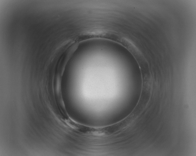 X0000083550692200702091059