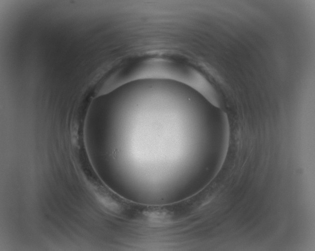 X0000083550693200702091059