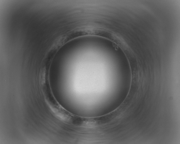 X0000083550694200702091059