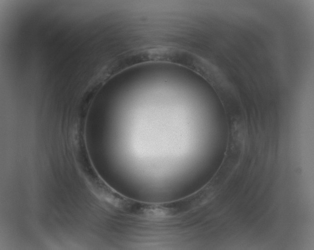 X0000083550698200702091059