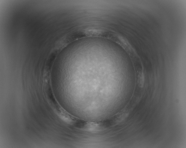 X0000083550701200702091059