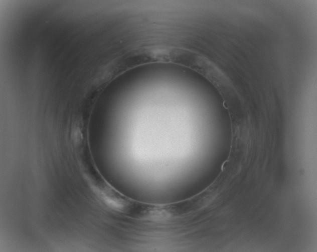 X0000083550702200702091059