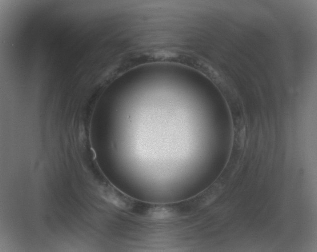 X0000083550704200702091059
