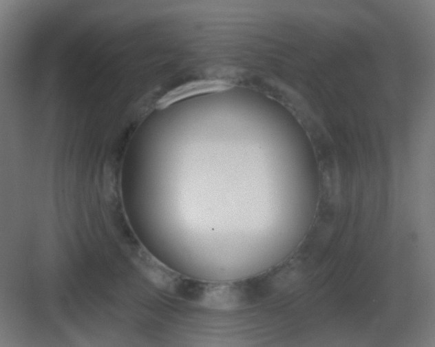 X0000083550705200702091059