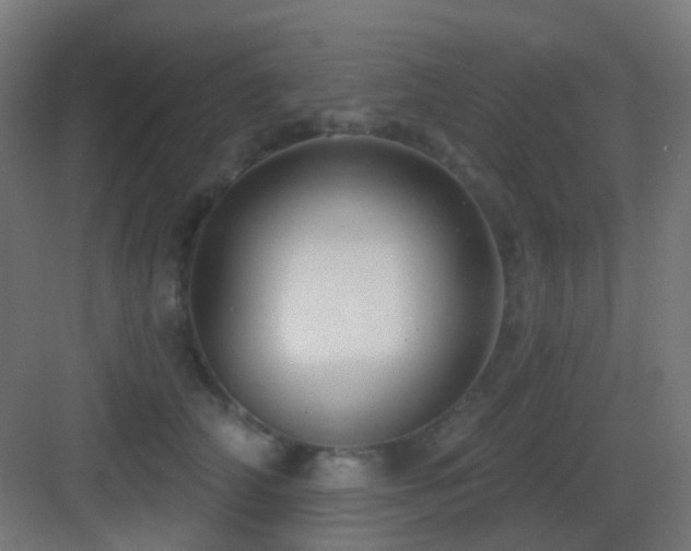 X0000083550706200702091058