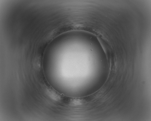 X0000083550710200702091058