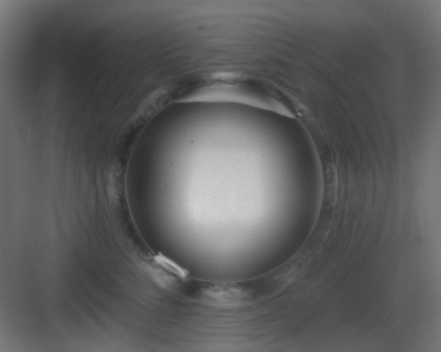 X0000083550712200702091058