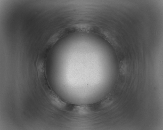 X0000083550713200702091058