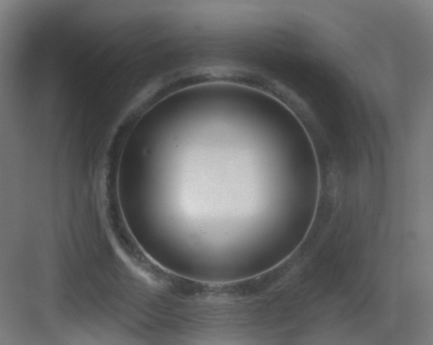 X0000083550730200702091058