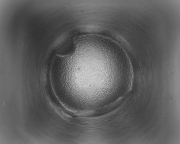 X0000083550735200702091058