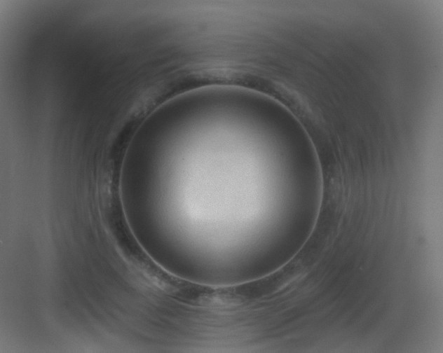 X0000083550739200702091058