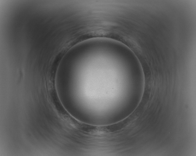 X0000083550743200702091058