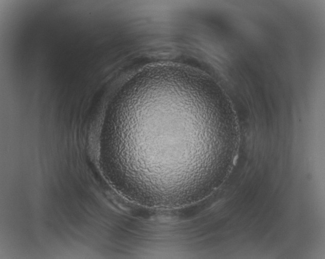 X0000083550745200702091058